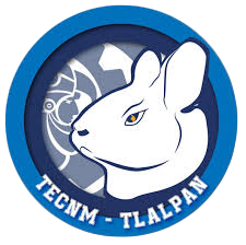 Logo IT TLALPAN Photoroom